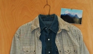 01 Brokeback Mtn shirts_thumb